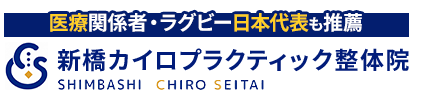 港区／新橋カイロプラクティック整体院