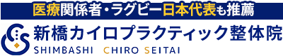 港区／新橋カイロプラクティック整体院