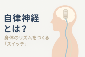 自律神経とはスイッチ