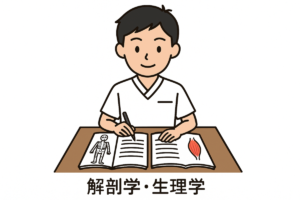 解剖整理学生
